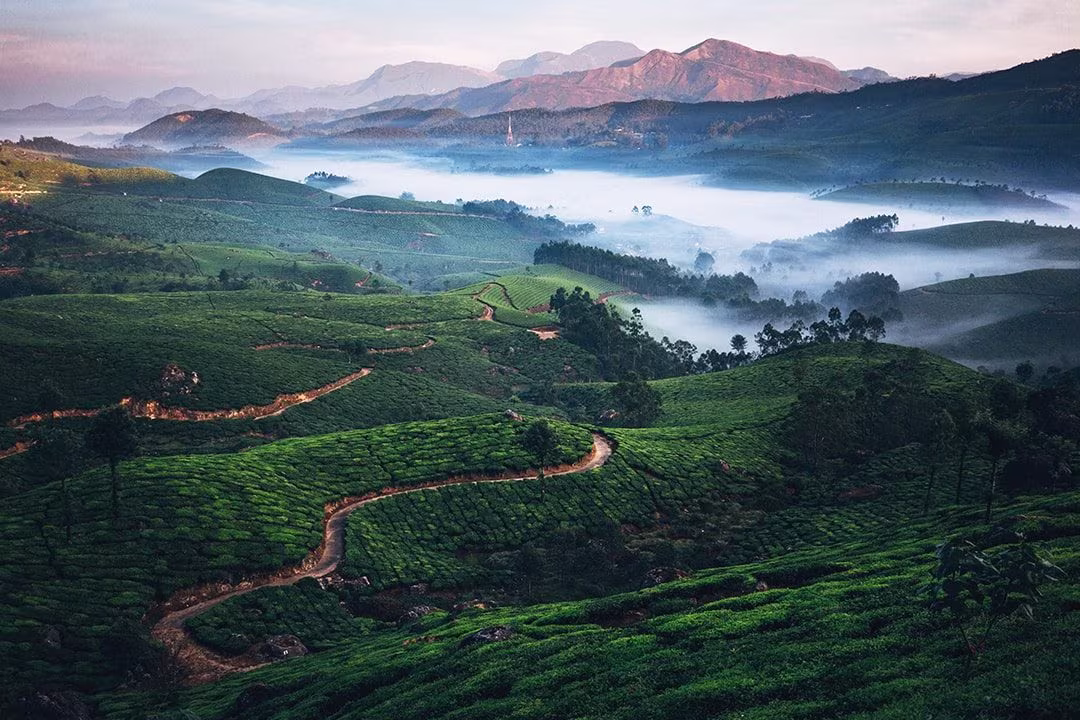 Munnar